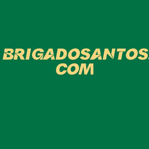 Logo da BRIGADOSANTOS